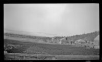 Wide view of a vegetable garden and cabins at Circle Hot Springs, Circle vicinity, 1946