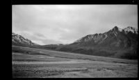 Distant view of caribou out on the wash, Denali National Park and Preserve, 1946