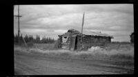 Dilapidated log cabin standing along the roadside, Circle, 1946