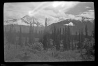 Denali rises beyond the Spruce-covered landscape, Denali National Park and Preserve, 1946