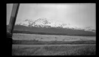 View of the Alaskan landscape near Big Delta, Big Delta vicinity, 1946
