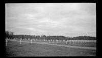 Wide view of grave markers standing in Fort Richardson National Cemetery, Fort Richardson, 1946