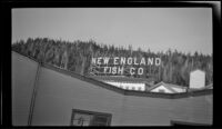 New England Fish Co. sign, viewed from the dock, Ketchikan, 1946