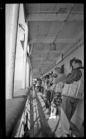 Passengers wear life jackets and line a ship's deck during a fire drill, Juneau vicinity, 1946