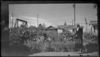 Mertie West stands in a flower garden across the street from Kinsell's, Anchorage, 1946