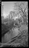 View of Red Oak Creek from a bridge behind the Clapp property, Red Oak, 1946