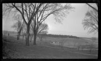 Evergreen Cemetery, viewed at a distance, Red Oak, 1946
