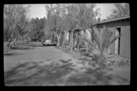 Cabins at Furnace Creek Camp standing in a row, Death Valley National Park, 1947