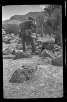 Wes Witherby drinks water from a spring, Death Valley National Park, 1947