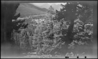 Distant view looking across Bow River Valley, Banff, 1947