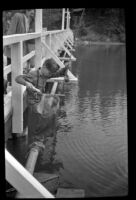 John Johansen fishes for trout from the bridge crossing Emerald Lake, Yoho National Park, 1947