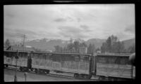 Canadian Pacific Railway freight cars sitting on the tracks, British Columbia vicinity, 1947