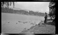 Mertie West feeds ducks at a lake in Stanley Park, Vancouver, 1947