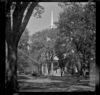 Harvard Memorial Church, viewed through trees in Harvard Yard, Cambridge, 1947