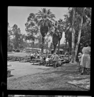 Iowa State Picnic attendees lunch at picnic tables in Lincoln Park, Los Angeles, 1948