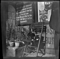 View of a cat in front of the Henry Gaze & Sons Universal Travel Office, Turkey, 1895