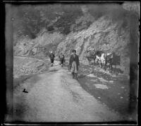 Two pack horses and three local men on a mountain road, Turkey, 1895