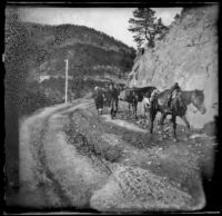 Pack horses and two local men on a mountain road, Turkey, 1895