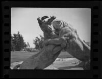Statue of saber-toothed cats at the La Brea Tar Pits, Los Angeles, 1936