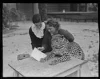 Berrien von Grunigen and Olga Celeste, with one of Olga's trained leopards, Eckie, Los Angeles, 1936