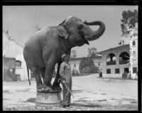 Elephant actress Anna May and trainer Alfred Alcorn, California Zoological Garden, Los Angeles, 1936