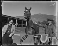 Race horse, Head Play, at Santa Anita Park, Arcadia, circa 1935-1939