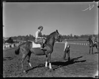 Race horse, Bien Fait, probably at Santa Anita Park, Arcadia, 1939