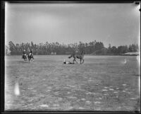 Polo match at Will Rogers polo field, Los Angeles, 1930-1935