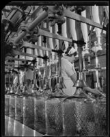 Assembly line workers filling bottles of drinking water at the Arrowhead-Puritas plant, Los Angeles, 1929-1939