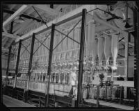 Arrowhead-Puritas bottling plant, Los Angeles, 1929-1939