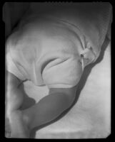 View of a baby in a diaper and sweater seen from the back, between 1925-1939