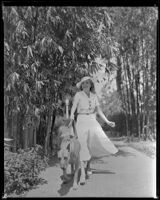 Joan Perry, actress, walking a dog, circa 1935-1939