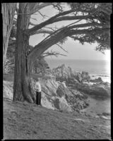 Woman stands under a tree by the ocean, circa 1932-1939