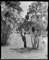Woman standing in a park holding on to a tree, circa 1932-1939