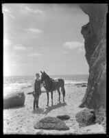 Gene Raymond, actor, standing on a beach holding the reins of a horse, circa 1933