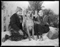 Johnny Mack Brown, actor, sitting in the snow with a woman and a dog, circa 1929-1934