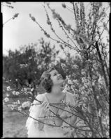Billie Seward, actress, holding the branches of a flowering tree, circa 1934-1935