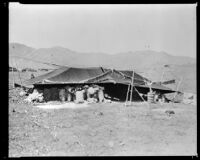 Tents on the Plateau of Tibet, 1932-1933 (Photograph used as research for Lost Horizon)