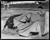 Mel Ferrer as matador Luís Bello in The Brave Bulls, circa 1950