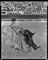Mel Ferrer as matador Luís Bello in The Brave Bulls, 1951