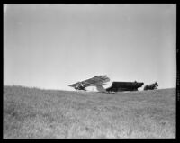 Man taking off in a glider in front of a horse-drawn wagon (possibly during the filming of Gallant Journey), 1946