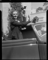 Elizabeth Risdon, actress, standing next to a car with a dog and a cat on its roof, circa 1935-1936