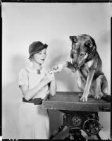 Florence Rice, actress, grooming a dog, circa 1934-1936