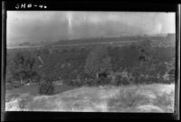 Orchard seen from Arlington Heights looking west, Rivrside, 1931