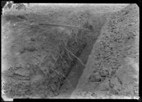 Trench for the study of root development of citrus at the Citrus Experiment Station, Riverside, 1934