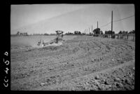 Preparation of land (second working) for lettuce, Imperial Valley, 1936