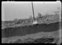 Penetration of rain into sandy soil on the south side of field S-1 at the Cirtus Experiment Station, Riverside, 1936