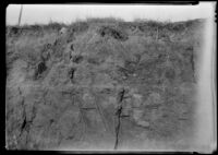 Soil profile along the highway near the municipal airport, San Diego, 1936