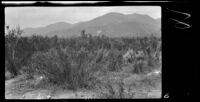 Brush plot over the north tunnel at Devil Canyon, San Bernardino vicinity, 1927-1940