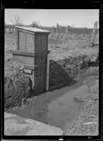 Weir, Fort Sumner vicinity, 1940